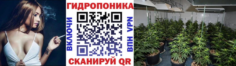 Alpha-PVP Махачкала
