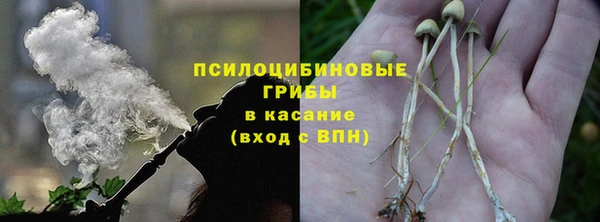 дмт Нязепетровск