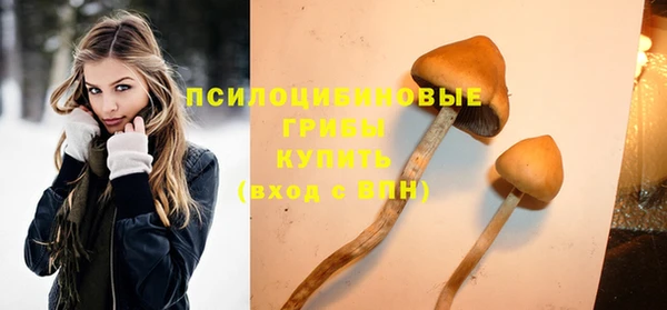 дмт Нязепетровск