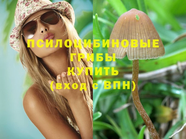 a pvp Няндома