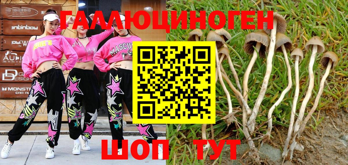 Галлюциногенные грибы мухоморы Махачкала