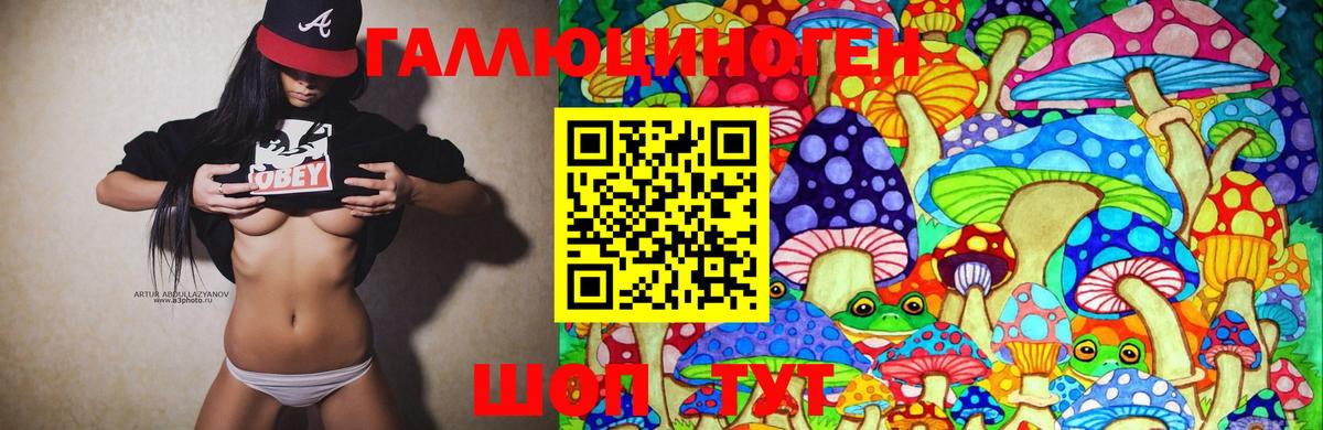 Галлюциногенные грибы Psilocybine cubensis  Галлюциногенные грибы Cubensis  Вход с VPN  Махачкала 